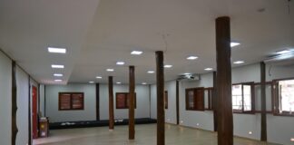 COP15: Conexão sem fronteira abre ao público com debates e atividades culturais