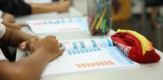 Especialistas: alfabetização na idade certa é marco para o país