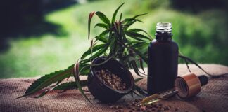 Associações apontam lacunas em normas sobre cannabis